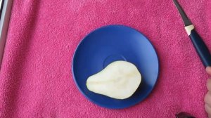 Груша Ноябрьская (зимняя) - мое мнение