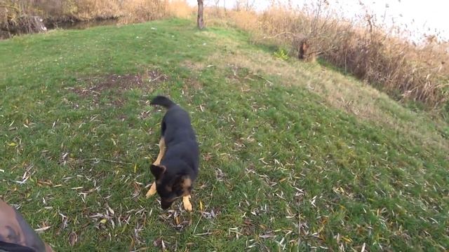 Собираем урожай смотреть онлайн