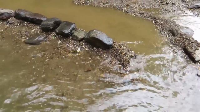 Survival skills - The original technology create tra catfish traps and trap fish on sand and gravel смотреть онлайн