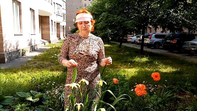 Гарденотерапия Знакомьтесь Ирис болотный смотреть онлайн