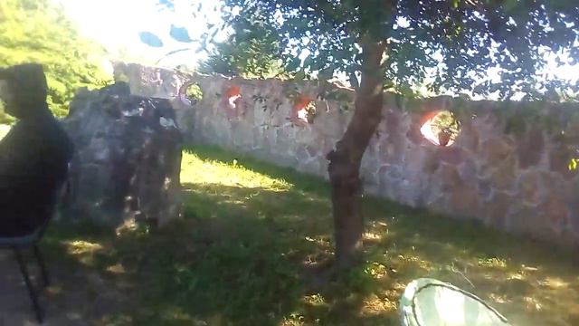 23 июня 2019 г. Арсен Израилов Жил Был Пес Моя Жизнь Кино Музей Пса 🐕 🎥 смотреть онлайн