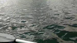 Лодочный мотор HDX 5 л. с. 4х тактный