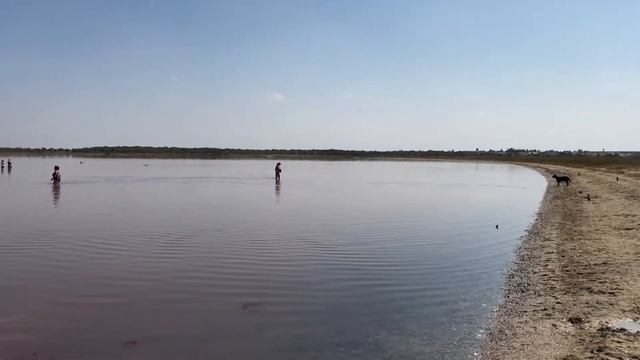 Лечебная грязь Крым. Озеро Сакское. смотреть онлайн