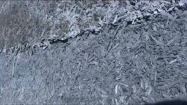 Перезимовавший арболит