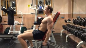 Сгибание рук с гантелями сидя попеременно