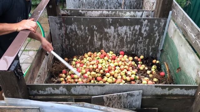 Что делать с падалицей яблок? смотреть онлайн