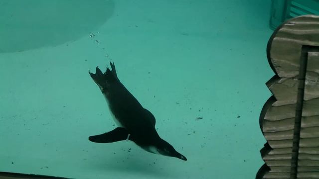 Samsung U10 Video Resolution - 1920x1080p (Full HD) смотреть онлайн