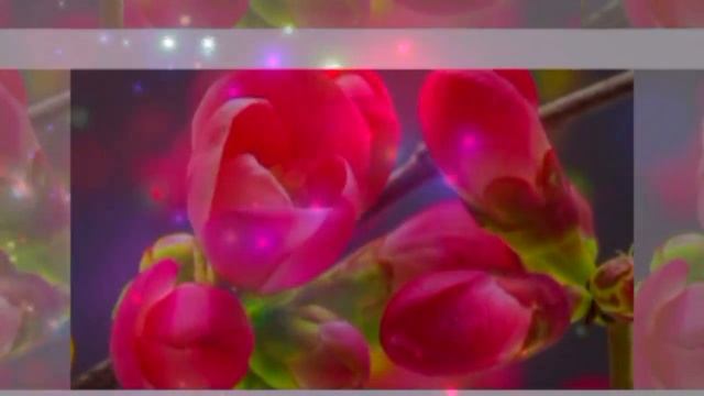 Учитель,С Днём рождения! Поздравляю! смотреть онлайн