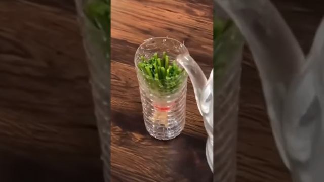 Покупайте зелень с корнями - комнатные растения смотреть онлайн