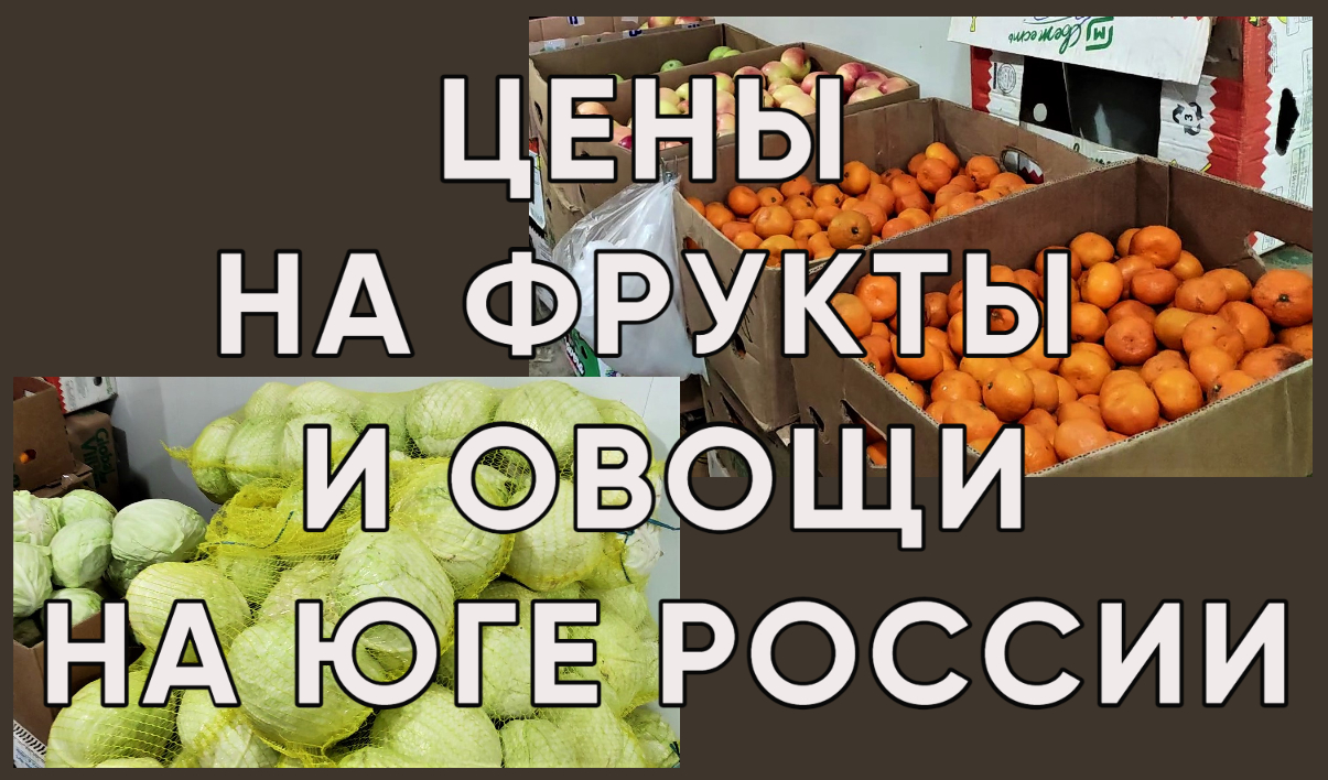 223. Белореченск-фруктовый рай/Переехали на юг России и не пожалели смотреть онлайн