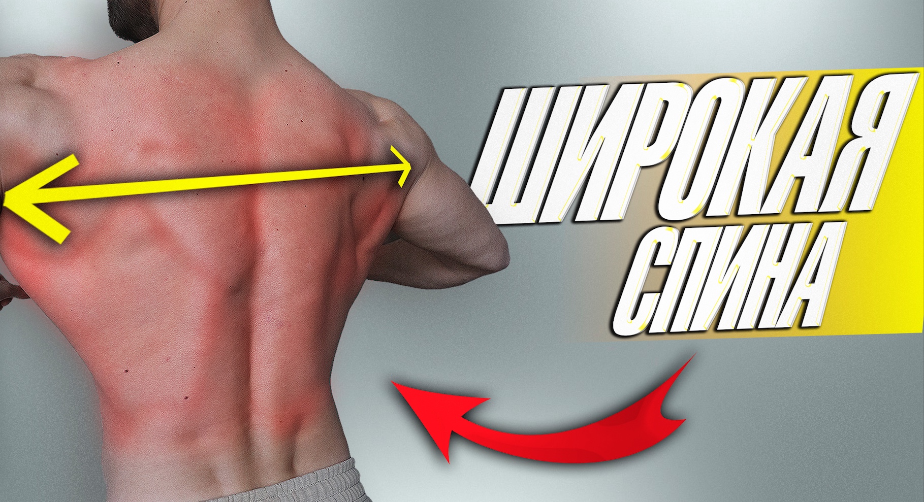 4 базовых упражнения для накачки широкой спины смотреть онлайн