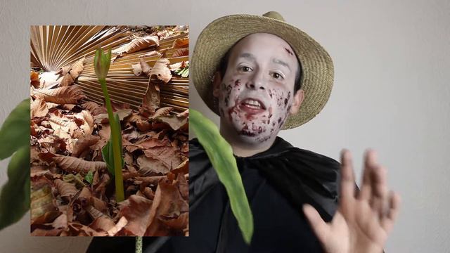 Die Blutblume | Halloweenspecial 2017 смотреть онлайн