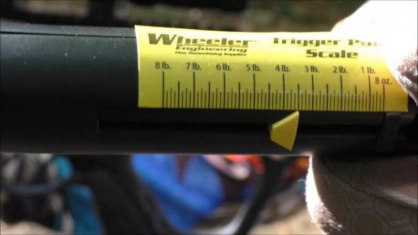 The Archery Review: Barnett XP350 Crossbow