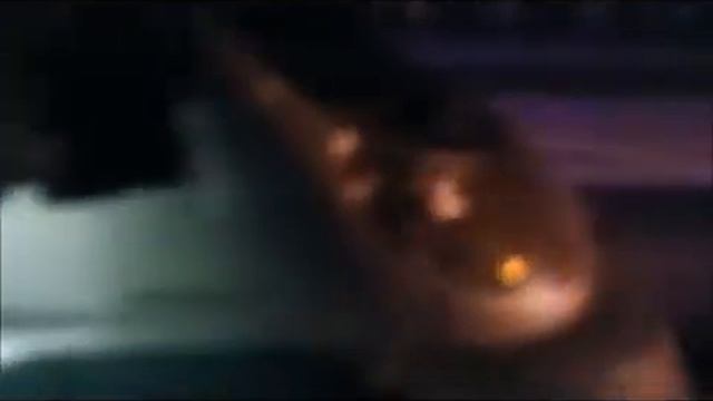 В Польше задержали грузовой бус с мигрантами смотреть онлайн