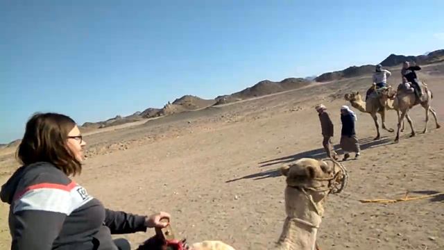 Катаемся на верблюдах по деревне бедуинов. Египет зима 2018 смотреть онлайн
