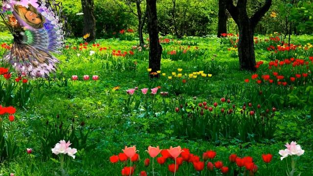 С Днём Рождения!!! Сказки весеннего леса!!! Проект 62 ФотоШоу PRO!!! смотреть онлайн