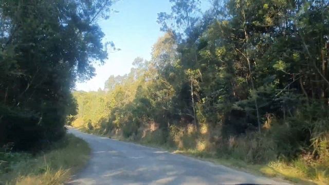 Relaxing Scenic Drive Up Vumba Mountains|Mutare, Manicaland, Zimbabwe In 4K