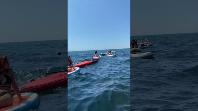 Сап прогулки #анапа 89773448671 работаю каждый день #supboard смотреть онлайн