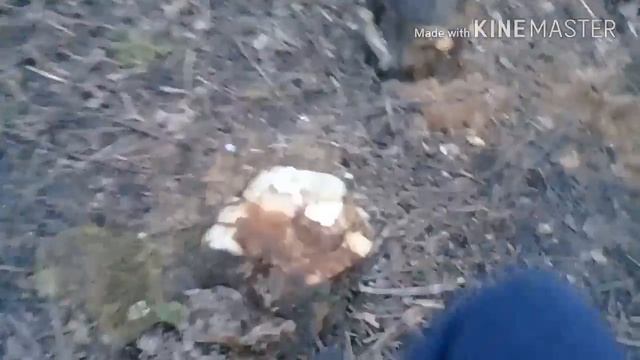 Vlog #1 | Хожу по трубе | Проверяю 