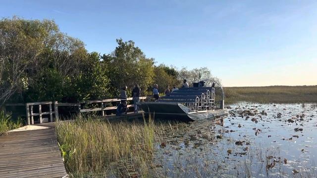 Вездеход-катамаран-драндулет для езды по болотам. Национальный парк Эверглейдс-15. смотреть онлайн