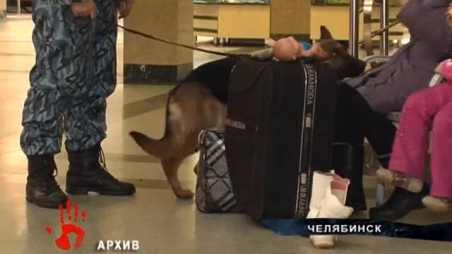 Телефонная шутка обернулась для 33 летнего мужчины уголовным наказанием смотреть онлайн
