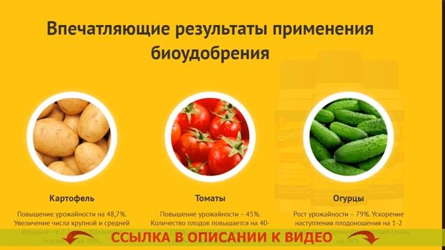 Купить гербициды для уничтожения борщевика в екатеринбурге