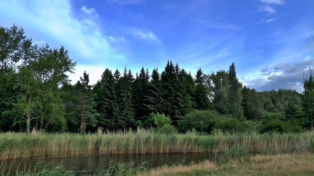 Блатные хотели опустить деда на ружье, не ведая кто его защитник и друг смотреть онлайн