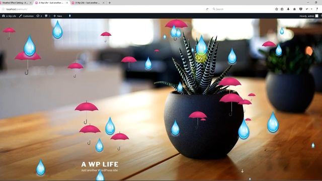 Rainy Season WordPress Plugin Settings - Falling Objects - Weather Effect Premium смотреть онлайн