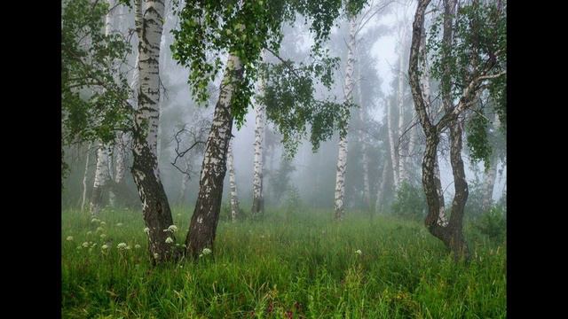 ДОЖДЬ В РОССИИ