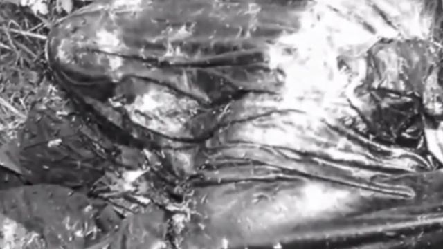 ДЕВОЧКА В ПАЛАТКЕ | УБИТАЯ ОПОЗНАНА ЧЕРЕЗ 30 ЛЕТ | ДЕЛО РАСКРЫТО | БАРБАРА ЭНН ХЭКМЕН ТЭЙЛОР смотреть онлайн