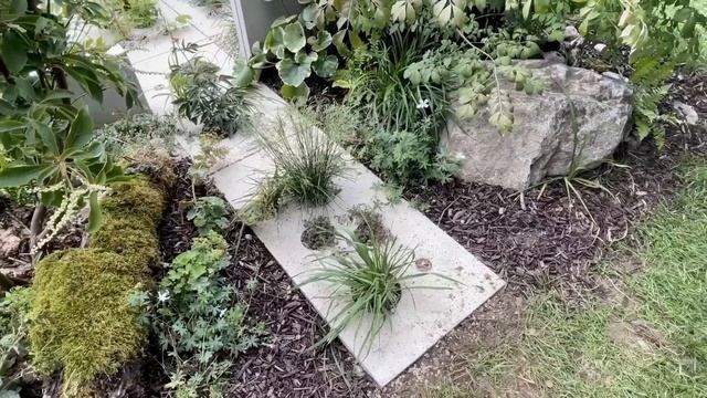 Фестиваль Цветов в Hampton Court 2023 Лондон (часть 1) -   Hampton Court Garden Show 2023 London