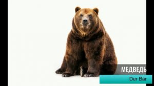 Немецкий для детей с нуля! Немецкие слова - Животные