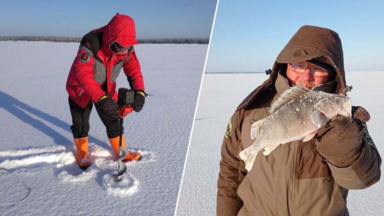 Рыбалка в -26 с электробуром ЭБА 20. Окунь на балансир. смотреть онлайн