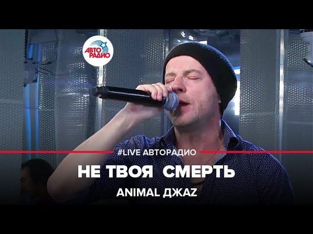 Animal ДжаZ - Не Твоя Смерть (LIVE @ Авторадио) смотреть онлайн