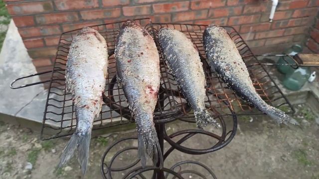 ?ВКУСНАЯ СЕЛЁДКА ГОРЯЧЕГО КОПЧЕНИЯ ПО ОСОБОМУ РЕЦЕПТУ?.ЖАРЕННЫЕ МАРИНОВАННЫЕ ГРИБОЧКИ.? смотреть онлайн