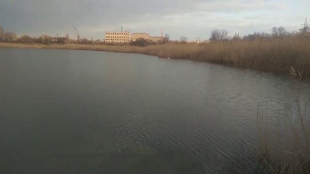 это гуси или лебеди смотреть онлайн