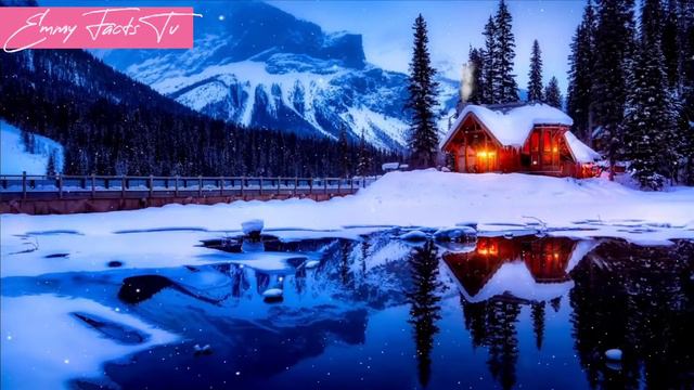 100 Historical Facts They Don't Teach You In School Part 4 #facts смотреть онлайн