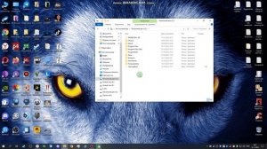#Dayz. Очистим сache , локальный диск и удалим моды.