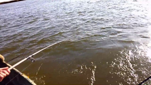 Рыбалка в Астрахани. Мумра. Зюзино. База " Душевная". Октябрь 2021 смотреть онлайн