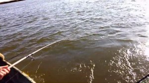 Рыбалка в Астрахани. Мумра.  Зюзино. База " Душевная". Октябрь 2021