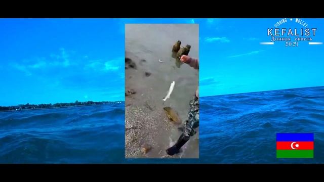 Снасти на кефаль! МЕЖДУНАРОДНАЯ ДОННАЯ СНАСТЬ для рыбалки на кефаль лобань, пиленгаса, долгоноса смотреть онлайн