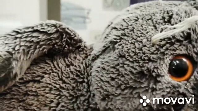 Яндекс колонка!!! Подарок от Басика!! смотреть онлайн