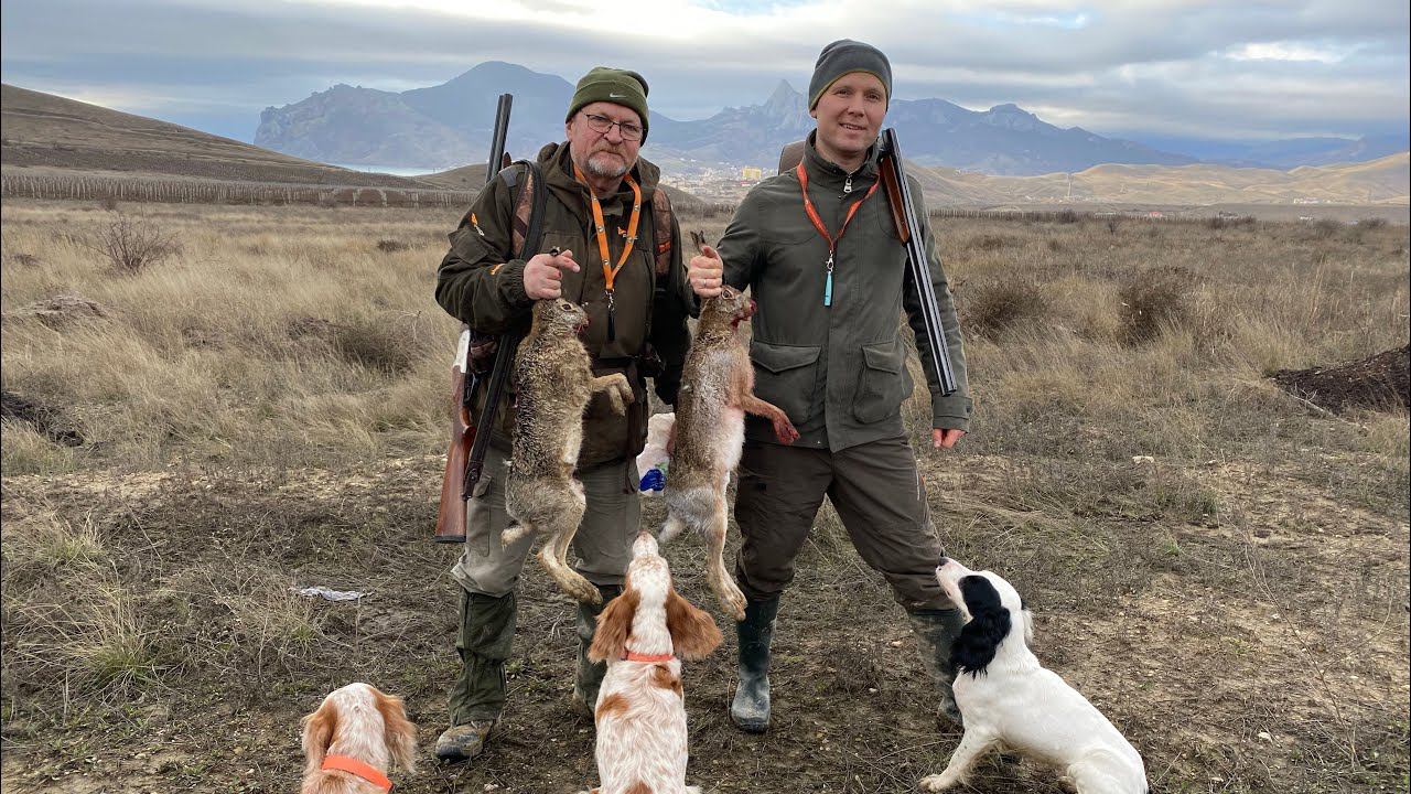 Новогодняя охота со спаниелем в Крыму. Заяц, фазан и перепел! смотреть онлайн