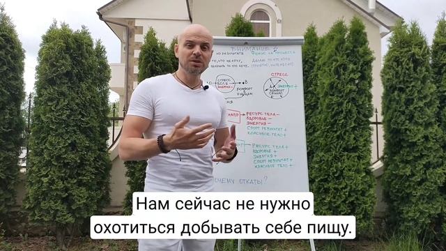 Силовая медитация. Вводная информация. Занятие 2 смотреть онлайн