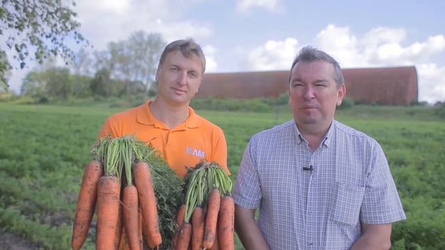 Голландские семена моркови Bejo Zaden B.V. (Бейо Заден) смотреть онлайн