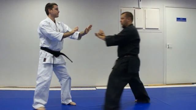 Kata Kanshiwa Uechi Ryu Karate Do, Traditional Bunkai, And Various Options For Use In Kumite