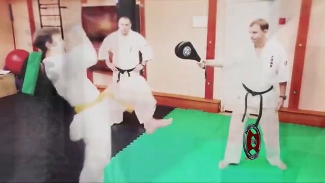 Клуб единоборств "Динамо"