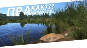 РУССКАЯ РЫБАЛКА 4 - ПВА Как работает? И работает ли? Подвожу итоги теста / Стрим