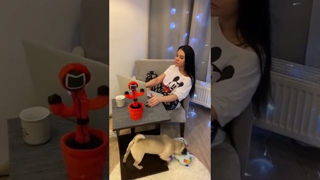 Когда жена обиделась | прикол