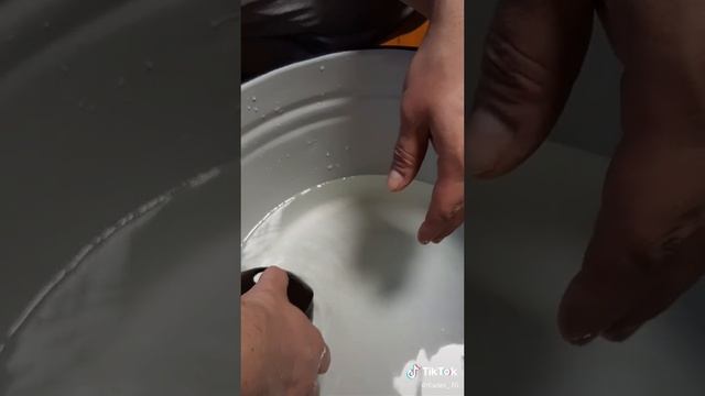 Нерест Анциструса смотреть онлайн